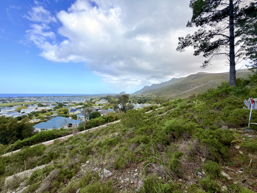 0 Bedroom Property for Sale in Hemel en Aarde Estate Western Cape